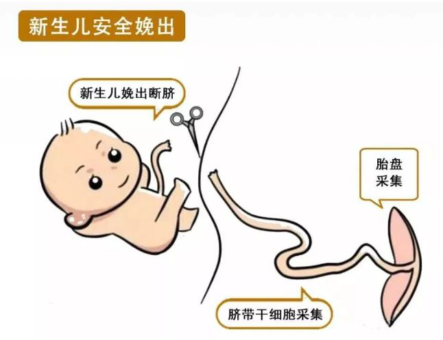 1570755313865295yami.png 圖片3.png